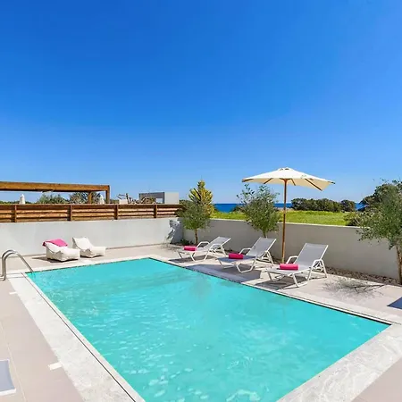 Nikos Olivestone By Willa *